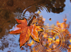 Сегодня Анапу целый день ждёт дождь