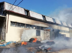 Крупный пожар под Анапой: пламя быстро распространилось на площади более 200 м