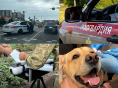 Смертельное ДТП и нарколаборатория – чем анапчанам запомнилась уходящая неделя