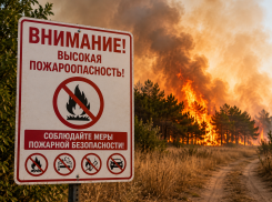 Жителей Анапы предупредили о риске природных пожаров