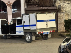 Полицейские Анапы вызволили из автомобильного плена собаку 