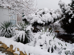 В Анапе потеплело, но уже сегодня в ночь ожидается снегопад с дождём