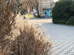 Во Всемирный день безработных в Анапе тепло и дождливо