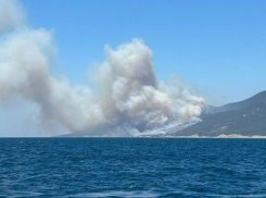 Недалеко от Анапы разгорелся большой пожар – пламя перекинулось на турбазы