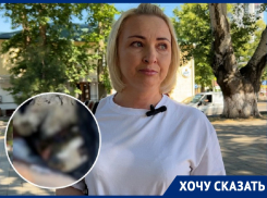 «Живодерня или приют»: анапчане в шоке после сообщений о бесчеловечном содержании собак