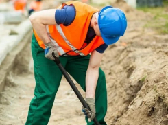 Предприятие в ст. Анапской производит набор сотрудников