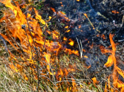 Внимание – опасно: в Анапе действует режим высокой пожароопасности