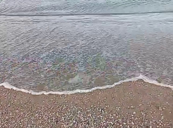 В Анапе выросло число выбросов мазута 