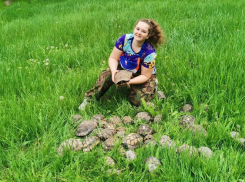  В Анапе в дикую природу выпустили 370 краснокнижных черепах