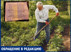 У жителей Виноградного отбирают огороды – землю перевели в ИЖС и застроят