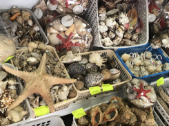 Хотите знать, на что отдыхающие в Анапе тратят больше всего денег?