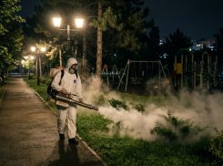 В Анапе и пригородах проведут обработку территорий от клещей