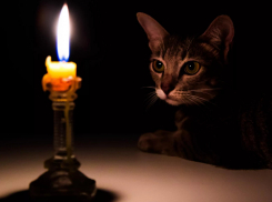 В ночное время жителям под Анапой временно отключат электроснабжение