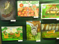 В визит-центре «Утриш» в Анапе представили работы участников акции «Марш парков»