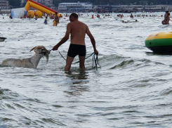 В Анапе мужчина устроил козлу водные процедуры в море рядом с людьми 