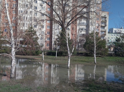 В администрации Анапы будут искать решение проблемы с «озерами» в Ореховой роще 