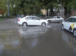 Валентина Попова просит решить проблему затапливаемых «зебр»