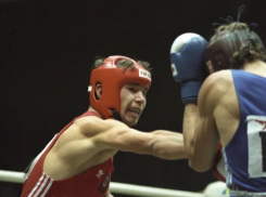 «Тот самый парень», побивший боксера Роя Джонса, приехал «драться» в Анапу