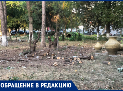 «Одни пеньки торчат»: анапчанка рассказала о срубленных деревьях на территории санатория