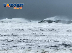 Во Всемирный день домашних животных в Анапе ветер утихнет