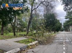 В Анапе продолжается ликвидация последствий урагана и шторма 