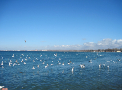 В День посиделок при свечах в Анапе ветер успокоится