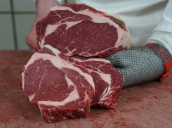 На анапских прилавках скоро может появиться искусственно созданное мясо