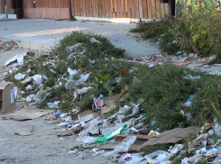 Грязная туалетная бумага летает по станице Анапской