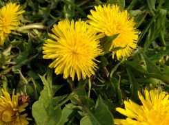 Первого апреля в Анапе ожидается ветреная погода