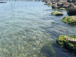 Сказочно манящая: даже на Центральном пляже Анапы чистая вода