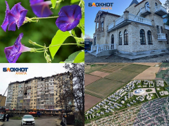 Тюремный срок для садоводов и тяжба мэрии с застройщиками – обзор происшествий