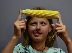 Кукурузные «битвы» в Анапе не утихают всё лето: на 1 покупателя-6 продавцов