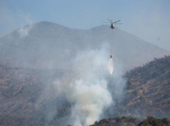 За пожар в 2020 году прокуратура взыщет около 1 млрд рублей с экс-директора заповедника «Утриш» 