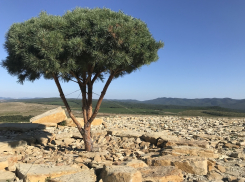 В воскресенье в Анапе снова господствует жара