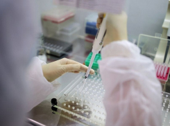 В Анапе выявили два случая коронавируса. Сводка на 24 февраля
