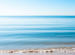 В Анапе начали эксперимент по восстановлению пляжей после загрязнения мазутом