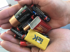 «Блокнот Анапа» устраивает экоакцию: спаси ёжика, 2 кротов, а заодно и себя