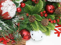 Где в Анапе купить живую ёлочку? Записывайте адреса!