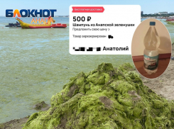 В Анапе продают шампунь из «зеленушки» с примесью медуз