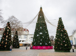 Мэр Василий Швец поздравил анапчан с Новым годом