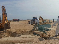 Песчаные пляжи Анапы будут отсыпать поэтапно перед сезоном-2026