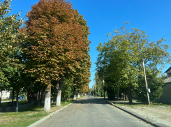 Во Всероссийский день лицеиста в Анапе будет солнечно