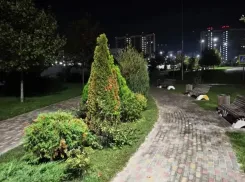 В Анапе несовершеннолетняя сбила пешехода