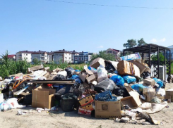 Анапа превращается в свалку – кто ответственен: ответ «Экотехпрома» на вопрос жителей курорта