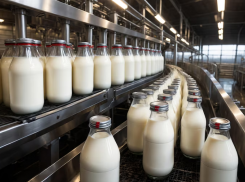 Молочная продукция в Анапе подорожает уже в ближайшее время