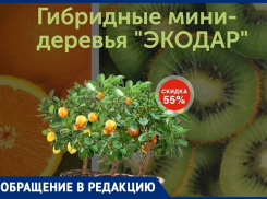Анапчанку развели в интернет-магазине с покупкой гибридных мини-деревьев