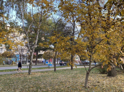 В среду в Анапе поднимется ветер и будет прохладно