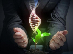 Школьники узнают больше о проблемах экологии в анапской «Смене»