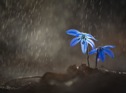 Сегодня в Анапе похолодает