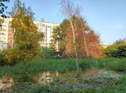 Алексей Чернятин считает, что из Ореховой рощи в Анапе нужно откачать воду